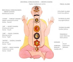 Chakras and levels